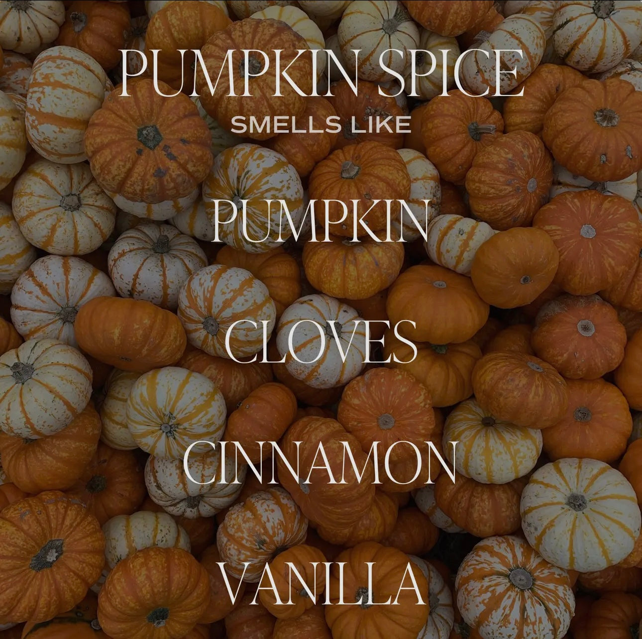pumpkin spice candle