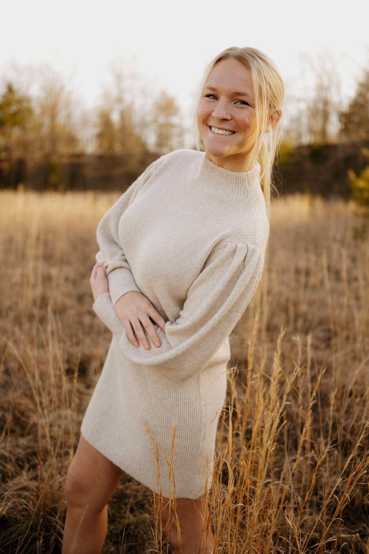 mock neck sweater dress
